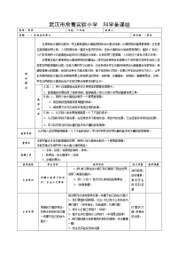 小学科学教科版六年级下册4、怎样放得更大教学设计