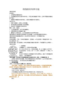 教科版六年级下册6、用显微镜观察身边的生命世界（二）教案设计