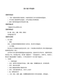 教科版六年级下册3、放大镜下的晶体教案及反思