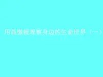 2020-2021学年5、用显微镜观察身边的生命世界(一)备课课件ppt