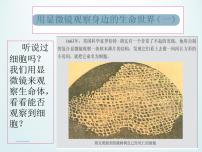 小学教科版5、用显微镜观察身边的生命世界（一）背景图课件ppt