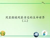 教科版六年级下册6、用显微镜观察身边的生命世界（二）教课课件ppt