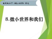 小学科学教科版六年级下册8、微小世界和我们说课ppt课件