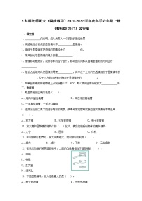 小学科学教科版 (2017)六年级上册2.怎样放得更大课后复习题