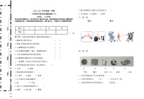 2020-2021学年度第一学期一年级科学期末模拟题（B）