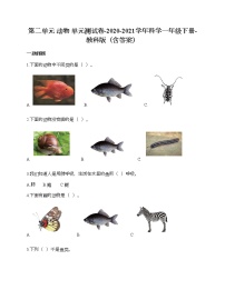 小学科学教科版 (2017)一年级下册动物综合与测试单元测试练习