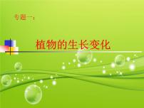 人教版 (新课标)五年级下册1 植物的生长变化教课课件ppt