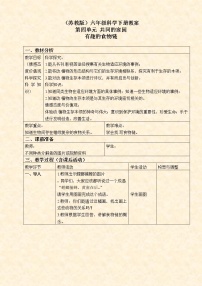 小学科学苏教版六年级下册3.有趣的食物链教案设计