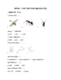 教科版一年级下册科学期末测试卷及答案3