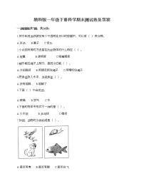 教科版一年级下册科学期末测试卷及答案24