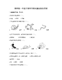 教科版一年级下册科学期末测试卷及答案13