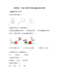 教科版一年级下册科学期末测试卷及答案2