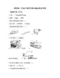 教科版一年级下册科学期末测试卷及答案20