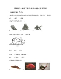 教科版一年级下册科学期末测试卷及答案7