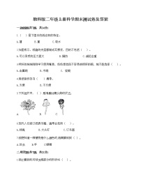 教科版二年级上册科学期末测试卷及答案22