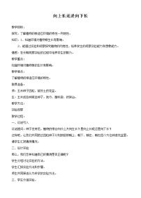 小学科学鄂教版四年级下册3.向上长还是向下长精品教学设计及反思