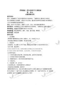 小学科学鄂教版四年级下册4.根朝哪边长精品教案设计