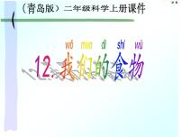 2021学年12 我们的食物教学课件ppt