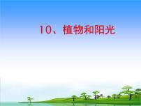 小学科学青岛版 (五四制2017)二年级上册10 植物和阳光教学课件ppt