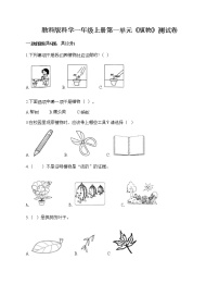 教科版 (2017)一年级上册植物综合与测试练习题