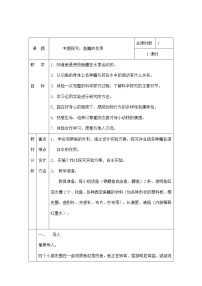 粤教粤科版三年级下册（新版）2 专题探究：种子发芽了精品教案