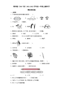 教科版（2017秋）2021-2022学年度一年级上册科学期末测试题