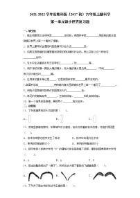 小学科学教科版 (2017)六年级上册微小世界综合与测试同步练习题