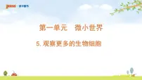 科学六年级上册5.观察更多的生物细胞课文内容ppt课件