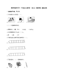 2021学年植物综合与测试课时训练