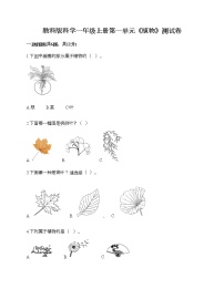 2020-2021学年植物综合与测试同步达标检测题