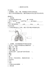 小学科学教科版 (2017)四年级上册1.感受我们的呼吸测试题