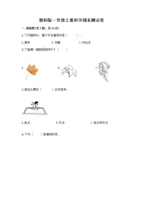 教科版一年级上册科学期末测试卷 (1)