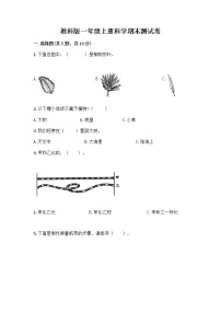 教科版一年级上册科学期末测试卷 (7)