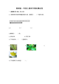 教科版一年级上册科学期末测试卷 (15)