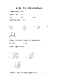 教科版一年级上册科学期末测试卷 (14)