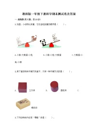 教科版一年级下册科学期末测试卷及答案 (15)