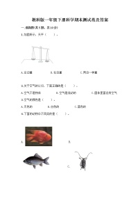 教科版一年级下册科学期末测试卷及答案 (1)