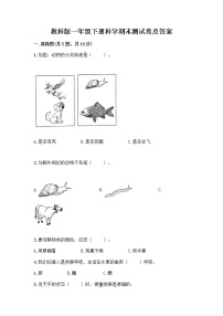 教科版一年级下册科学期末测试卷及答案 (7)