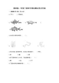 教科版一年级下册科学期末测试卷及答案 (14)