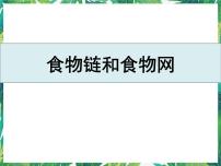 小学科学教科版 (2017)五年级下册6.食物链和食物网精品ppt课件