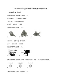 教科版一年级下册科学期末测试卷及答案16