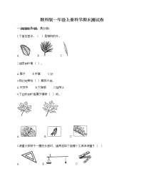 教科版一年级上册科学期末测试卷（名校卷）