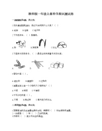 教科版一年级上册科学期末测试卷AB卷