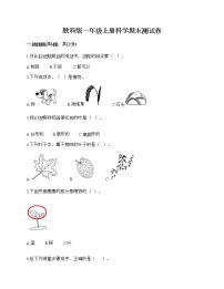 教科版一年级上册科学期末测试卷（突破训练）