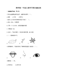 教科版一年级上册科学期末测试卷答案下载