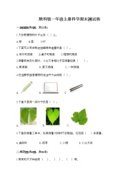 教科版一年级上册科学期末测试卷及1套完整答案