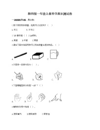 教科版一年级上册科学期末测试卷（原创题）