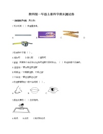 教科版一年级上册科学期末测试卷答案免费下载