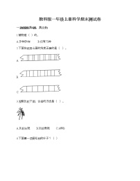 教科版一年级上册科学期末测试卷含精品答案