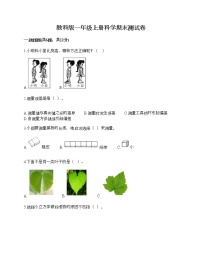 教科版一年级上册科学期末测试卷含答案下载